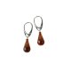 Wholesale amber earrings
